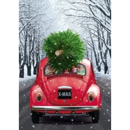 (D) Urlaub ist unterwegs 27*38 cm WD2442