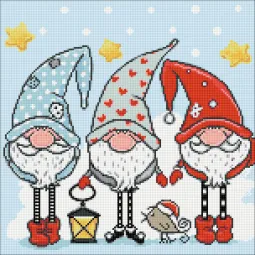 (D) Gnomes 38*38 cm WD2443