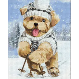 (D) Skifahrer 38*48 cm WD2447