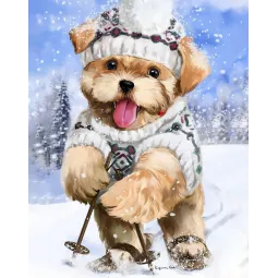 (D) Skifahrer 38*48 cm WD2447