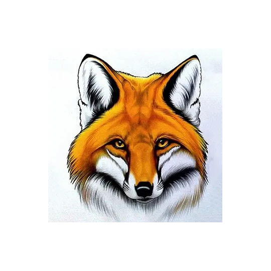 (D) Red Fox 20*20 cm WD2375