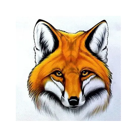 (D) Red Fox 20*20 cm WD2375