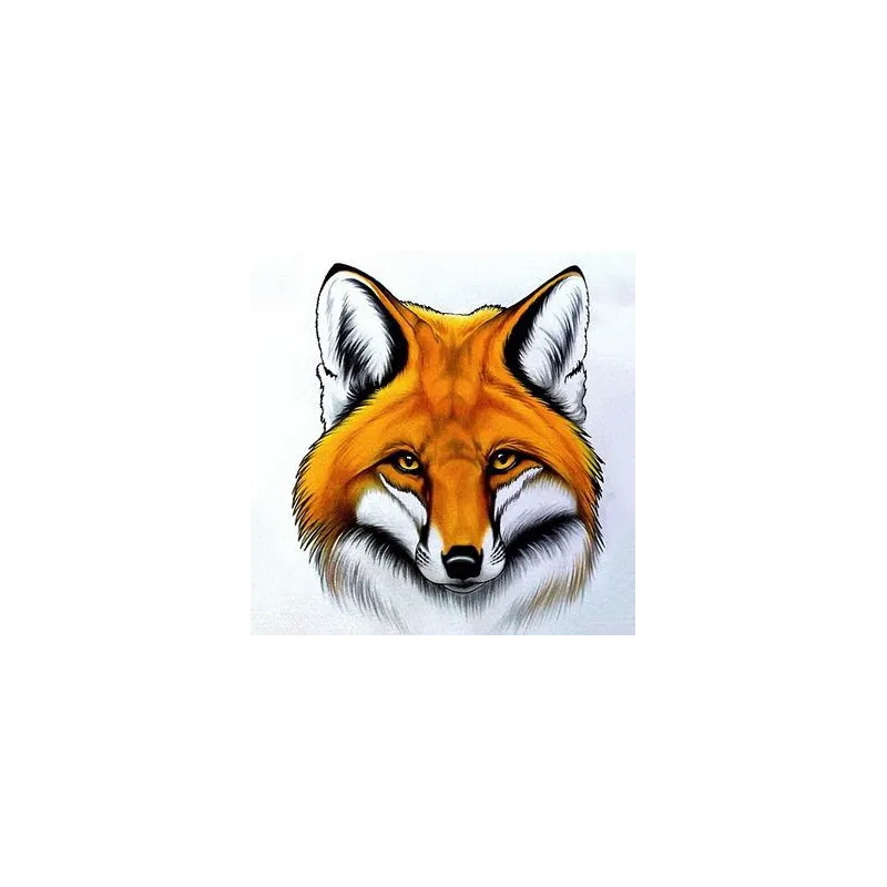 (D) Red Fox 20*20 cm WD2375