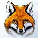 (D) Roter Fuchs 20*20 cm WD2375