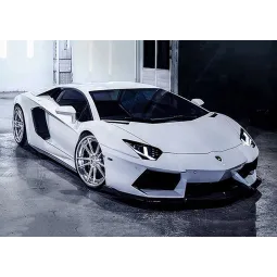 (D) Lamborghini 38 x 27 cm WD254