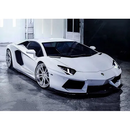 (D) Lamborghini 38 x 27 cm WD254