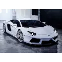 (D) Lamborghini 38 x 27 cm WD254