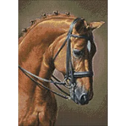 Horse Jumping 27 х 38 cm WD256