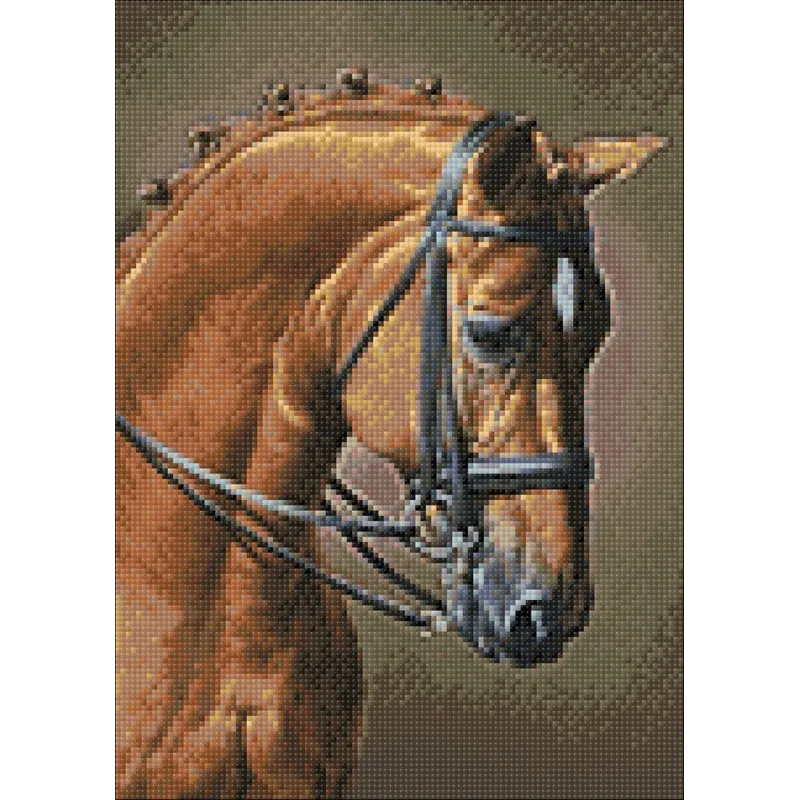 Springreiten 27 х 38 cm WD256