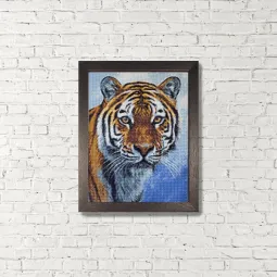 (D) Tigre 30 х 40 cm WD309