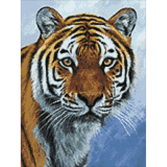 (D) Tigre 30 х 40 cm WD309