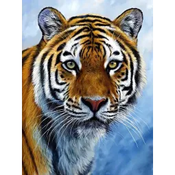 (D) Tigre 30 х 40 cm WD309