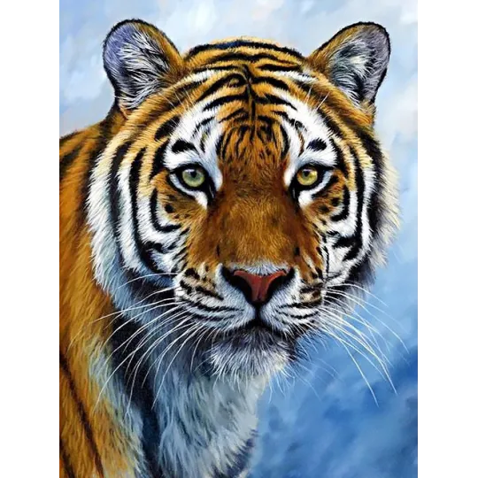 (D) Tigre 30 х 40 cm WD309