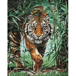 (D) Tigre dangereux 40 х 50 cm WD310