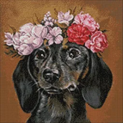 (D) Teckel dans les fleurs 38x38 cm WD2465