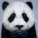 (D) Panda avec Nœud Papillon 20x20 cm WD2466