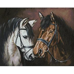 Tendreté de cheval 48x38 cm WD2469