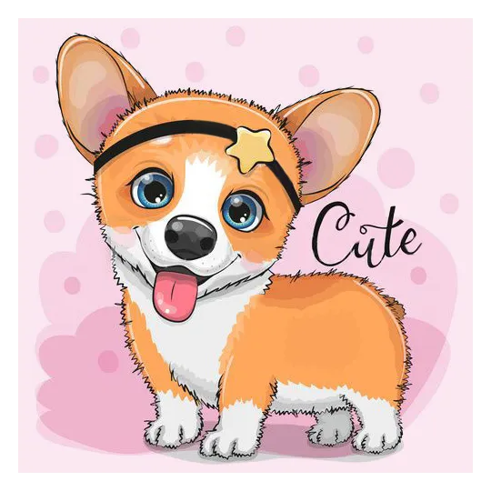 (D) Corgi 20*20 cm WD2473