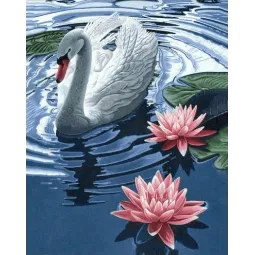 (D) Princess Swan 38 х 48 cm WD241