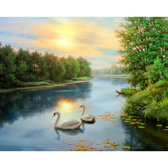 (D) Cygnes à l'aube 50*40 cm WD2607