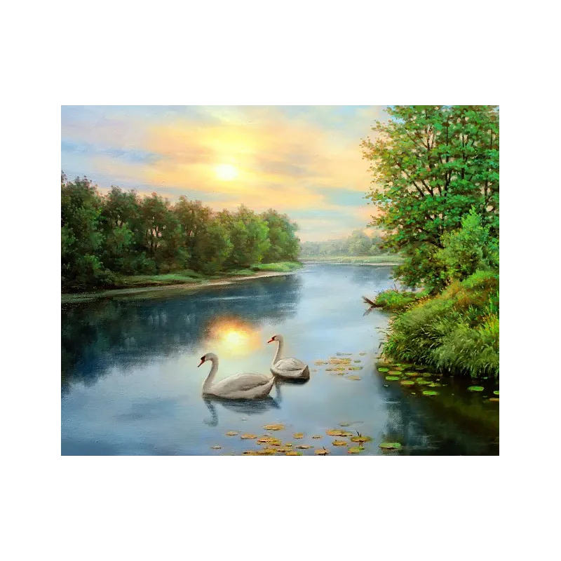 (D) Cygnes à l'aube 50*40 cm WD2607