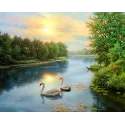 (D) Cygnes à l'aube 50*40 cm WD2607