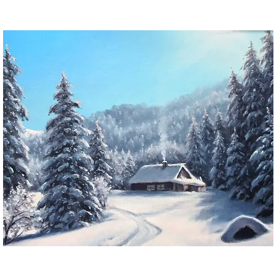 (D) Winter day 50*40 cm WD2610