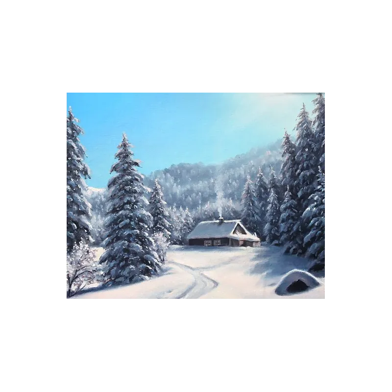 (D) Winter day 50*40 cm WD2610