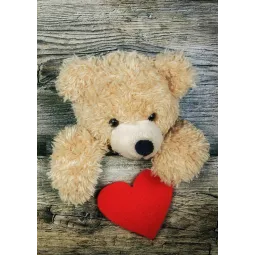 IŠPARDAVIMAS (Panaikinta) Dovana 27*38 cm WD2304