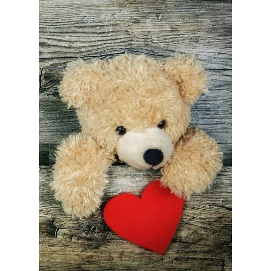 VENTE (Arrêté) Cadeau 27*38 cm WD2304