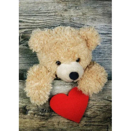 VENTE (Arrêt) Cadeau 27*38 cm WD2304