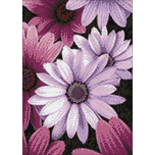 Purple Daisies 27*38 cm WD2306