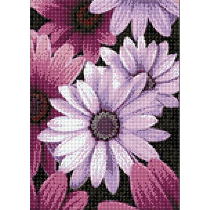 Marguerites violettes 27*38 cm WD2306