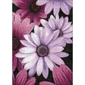 Marguerites violettes 27*38 cm WD2306