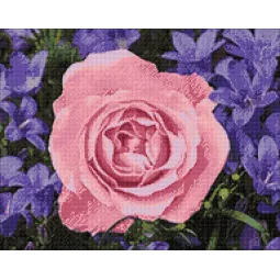 (D) Rose de jardin 48*38 cm WD2308