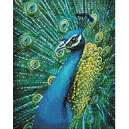 Лазурный Павлин WD231