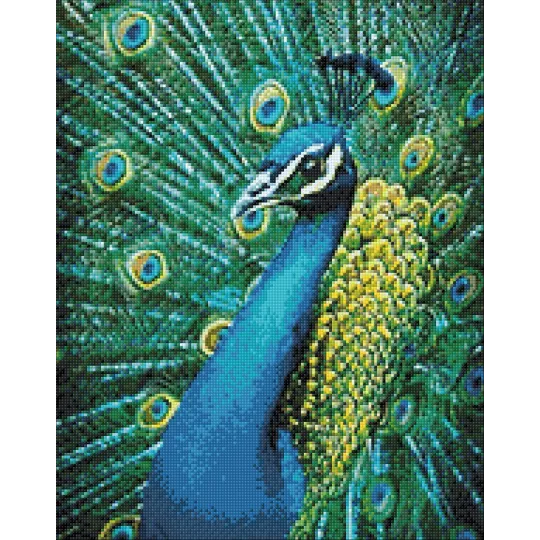 (D) Paon 38 х 48 cm WD231