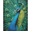 (D) Pfau 38 х 48 cm WD231