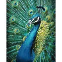 (D) Pfau 38 х 48 cm WD231