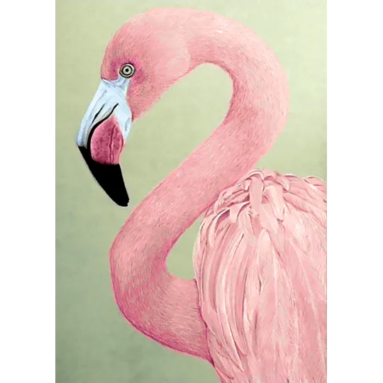 (D) Flamant rose 27 х 38 cm WD232