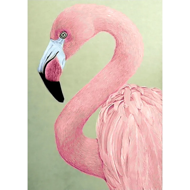 (D) Flamant rose 27 х 38 cm WD232