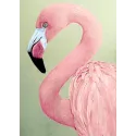 (D) Flamant rose 27 х 38 cm WD232