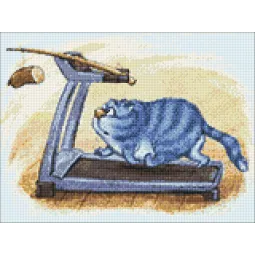 (D) Fitness 40 х 30 cm WD267