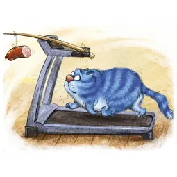 (D) Fitness 40 х 30 cm WD267