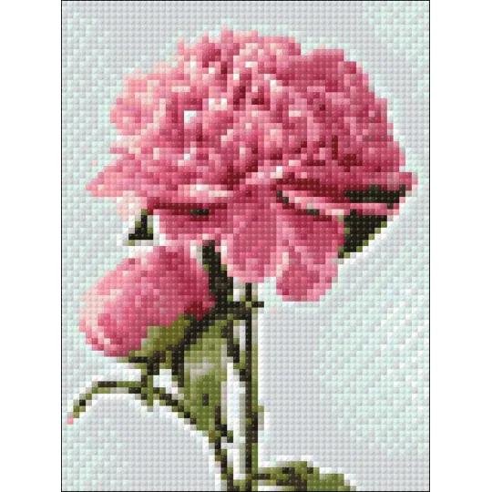 (D) Pink Peony 15*20 cm WD276