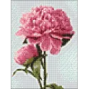 Pink Peony 15*20 cm WD276