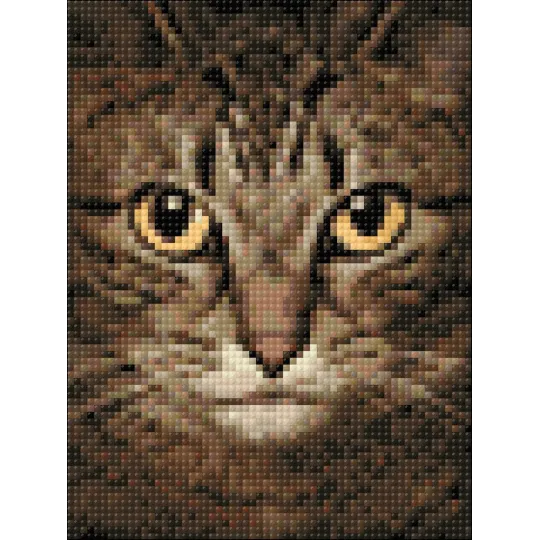 (D) Wise Cat 15*20  cm WD280