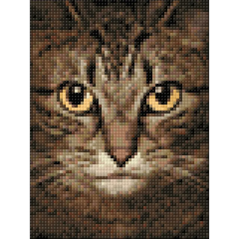 (D) Wise Cat 15*20  cm WD280