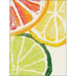 (D) Citrus Fresh 15*20 cm WD281