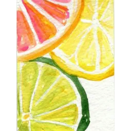 (D) Agrumes frais 15*20 cm WD281